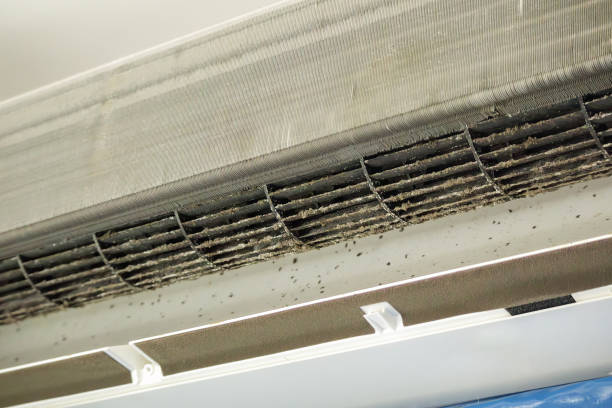 Best Duct Cleaning for Offices  in Ford City, CA